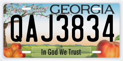 GA license plate QAJ3834