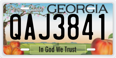 GA license plate QAJ3841