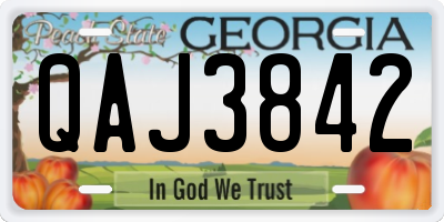 GA license plate QAJ3842