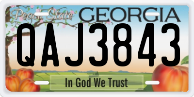 GA license plate QAJ3843