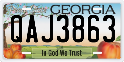 GA license plate QAJ3863