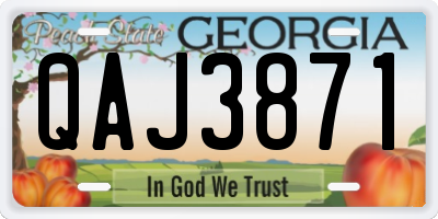 GA license plate QAJ3871