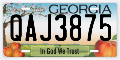 GA license plate QAJ3875