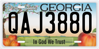 GA license plate QAJ3880