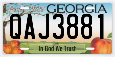 GA license plate QAJ3881