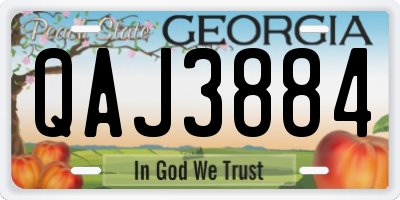 GA license plate QAJ3884