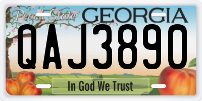 GA license plate QAJ3890