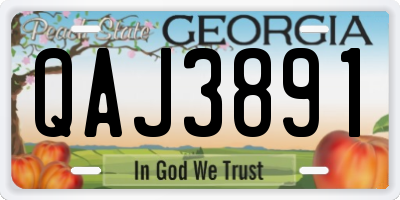 GA license plate QAJ3891