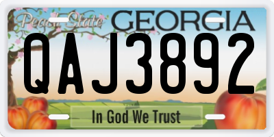GA license plate QAJ3892