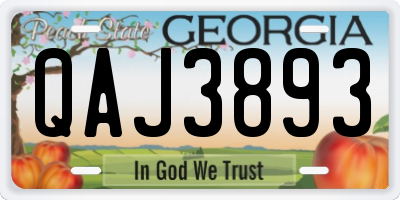 GA license plate QAJ3893