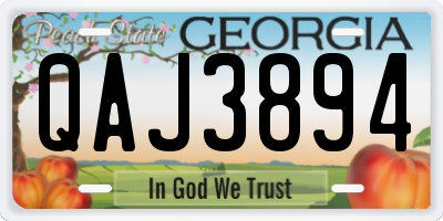 GA license plate QAJ3894