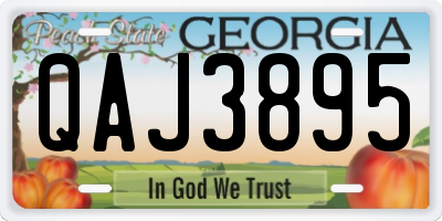 GA license plate QAJ3895