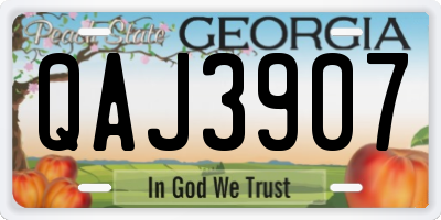 GA license plate QAJ3907