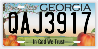GA license plate QAJ3917