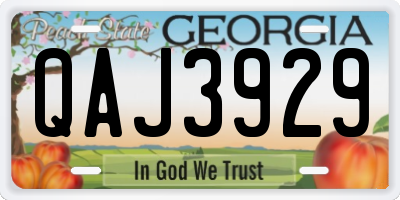 GA license plate QAJ3929