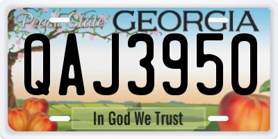 GA license plate QAJ3950
