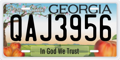 GA license plate QAJ3956