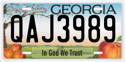 GA license plate QAJ3989