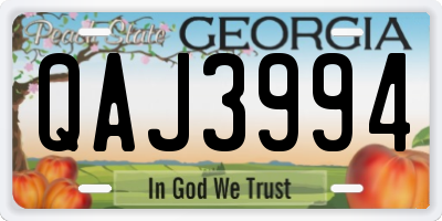 GA license plate QAJ3994