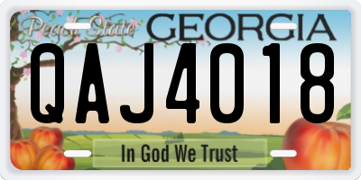 GA license plate QAJ4018