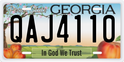 GA license plate QAJ4110