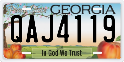 GA license plate QAJ4119