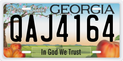 GA license plate QAJ4164