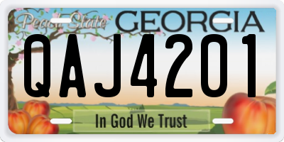 GA license plate QAJ4201