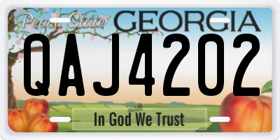 GA license plate QAJ4202
