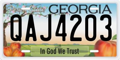 GA license plate QAJ4203