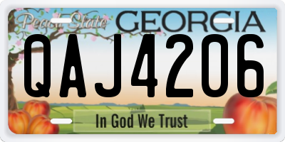 GA license plate QAJ4206