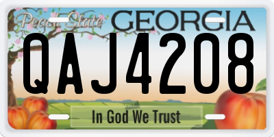 GA license plate QAJ4208