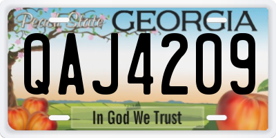 GA license plate QAJ4209