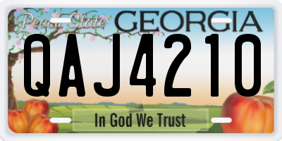 GA license plate QAJ4210