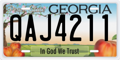 GA license plate QAJ4211