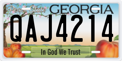 GA license plate QAJ4214