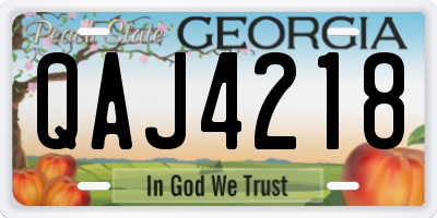 GA license plate QAJ4218