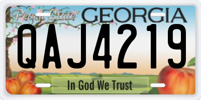 GA license plate QAJ4219