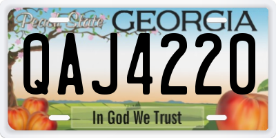 GA license plate QAJ4220