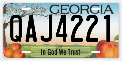 GA license plate QAJ4221