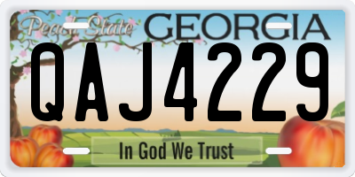 GA license plate QAJ4229