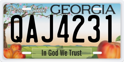 GA license plate QAJ4231