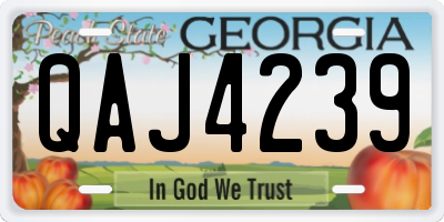 GA license plate QAJ4239