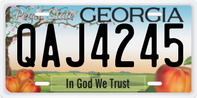 GA license plate QAJ4245
