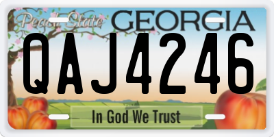 GA license plate QAJ4246