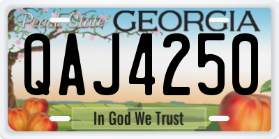 GA license plate QAJ4250