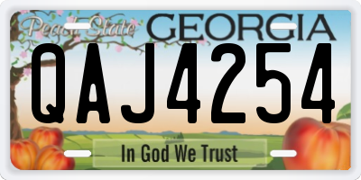 GA license plate QAJ4254