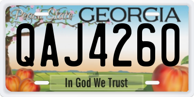 GA license plate QAJ4260