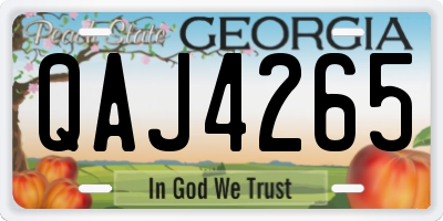 GA license plate QAJ4265