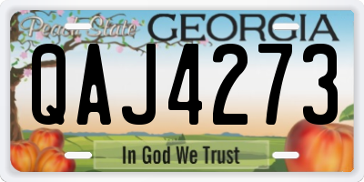 GA license plate QAJ4273